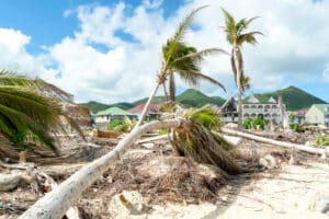 Hurricane Irma aftermath destruction to some of st.maarten stmartin beaches blowing down trees and uprooting some on the beach