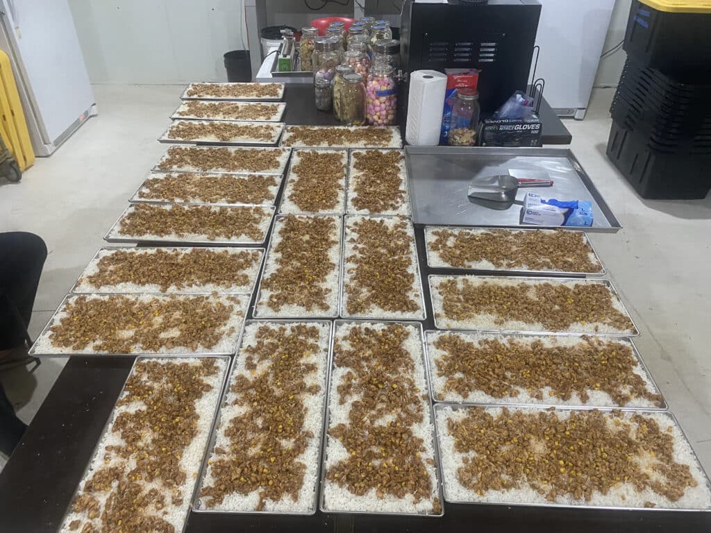 a table full of organic produce on trays ready to be freeze-dried for disaster relief food