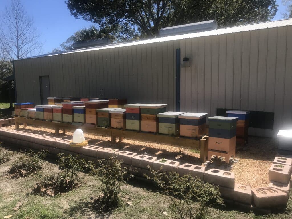 many beehives on jeff and joanna's farm in florida for farming organic honey for disaster relief food